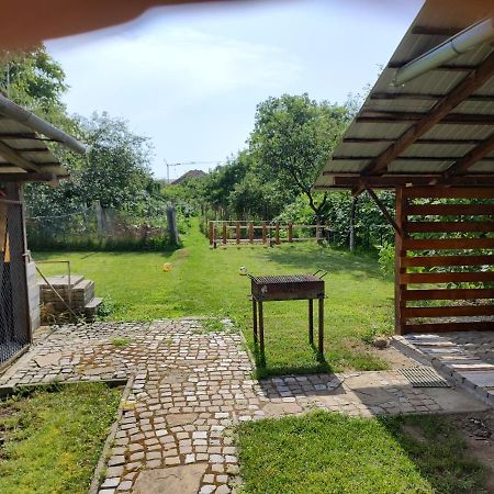 Vicky House Fagaras Exterior foto