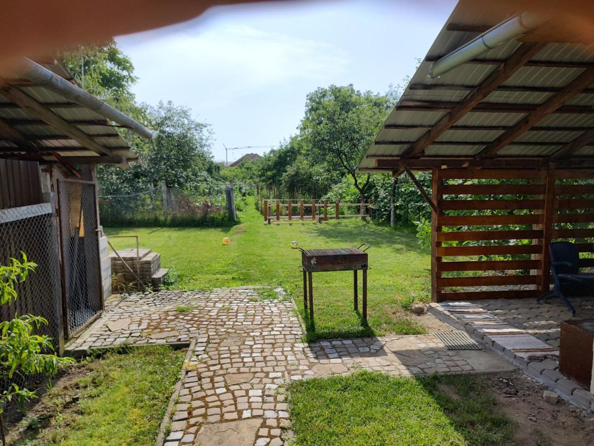 Vicky House Fagaras Exterior foto