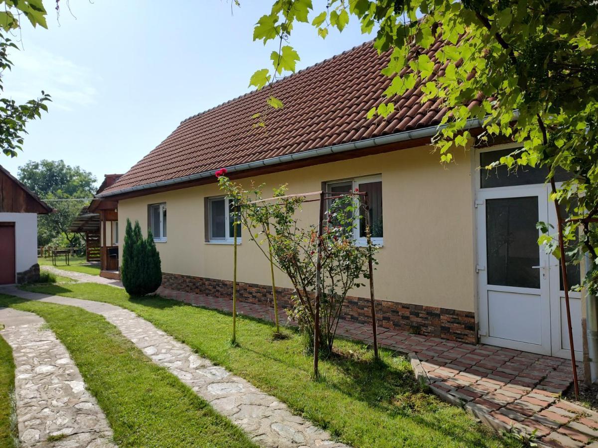 Vicky House Fagaras Exterior foto