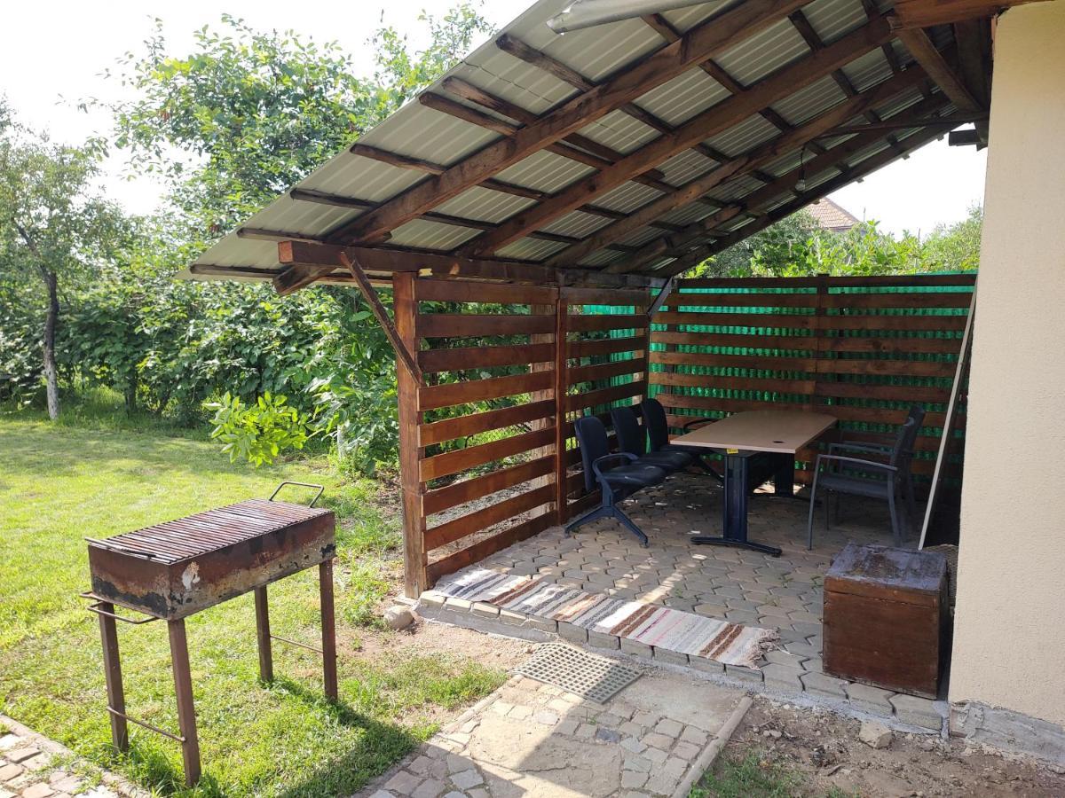 Vicky House Fagaras Exterior foto