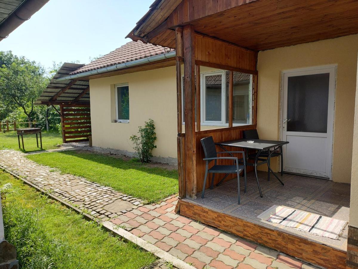 Vicky House Fagaras Exterior foto