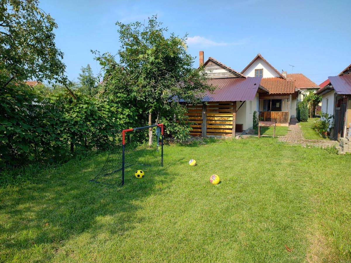Vicky House Fagaras Exterior foto